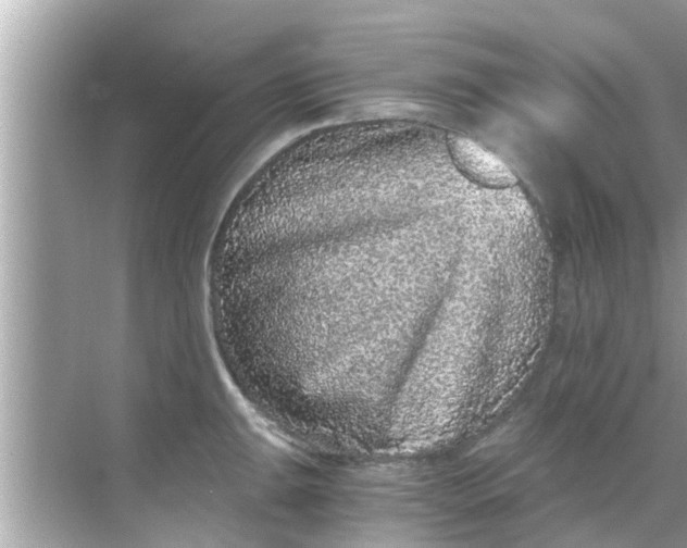 X0000068301047200605051928