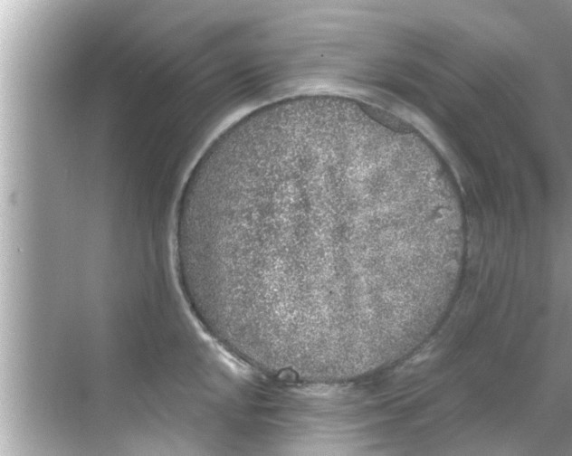 X0000068301048200605051928