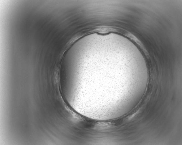 X0000068301049200605051928