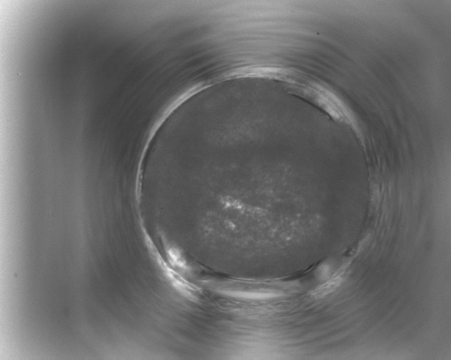 X0000068301050200605051928