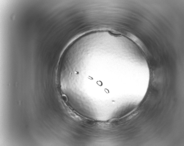 X0000068301052200605051928