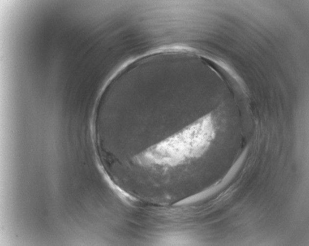 X0000068301054200605051928