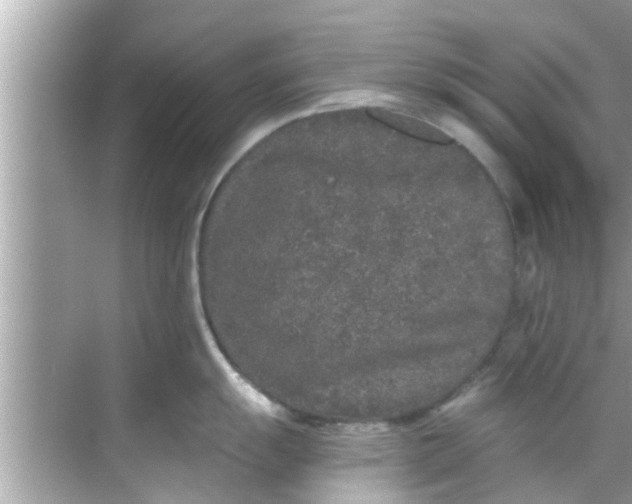 X0000068301055200605051928