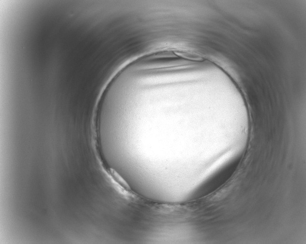 X0000068301056200605051928