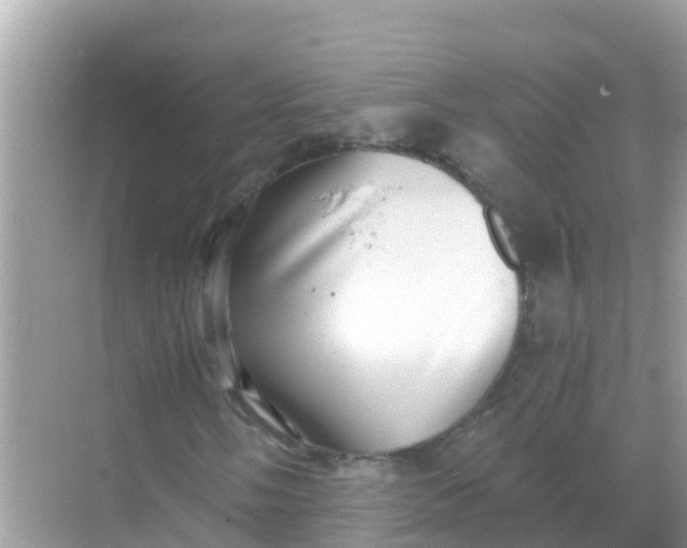 X0000068301058200605051927