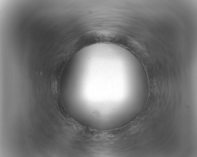 X0000068301061200605051927