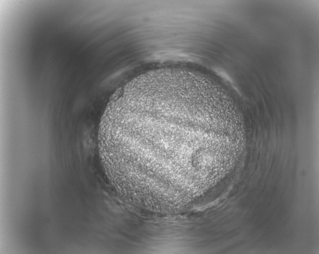 X0000068301063200605051927