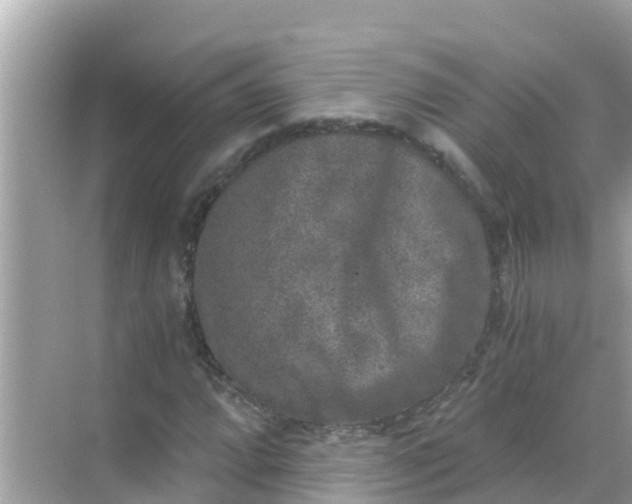 X0000068301064200605051927