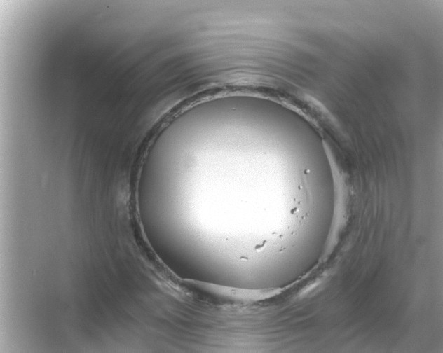 X0000068301065200605051927