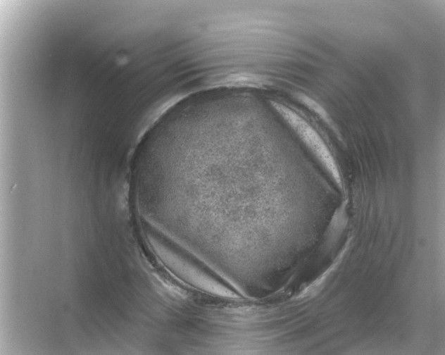 X0000068301066200605051927