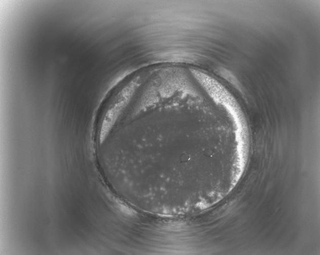 X0000068301071200605051927