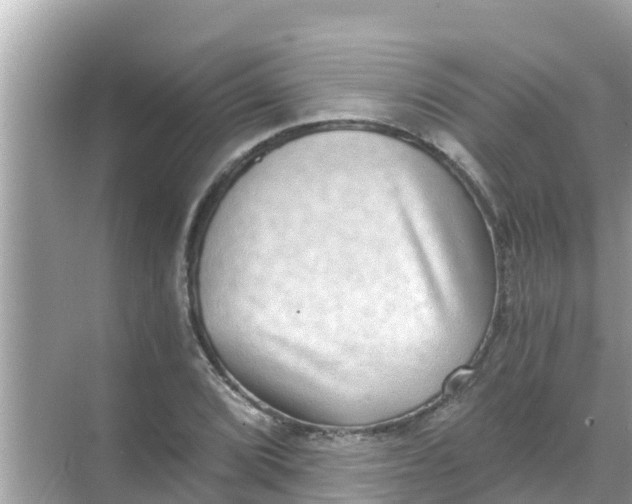 X0000068301072200605051927