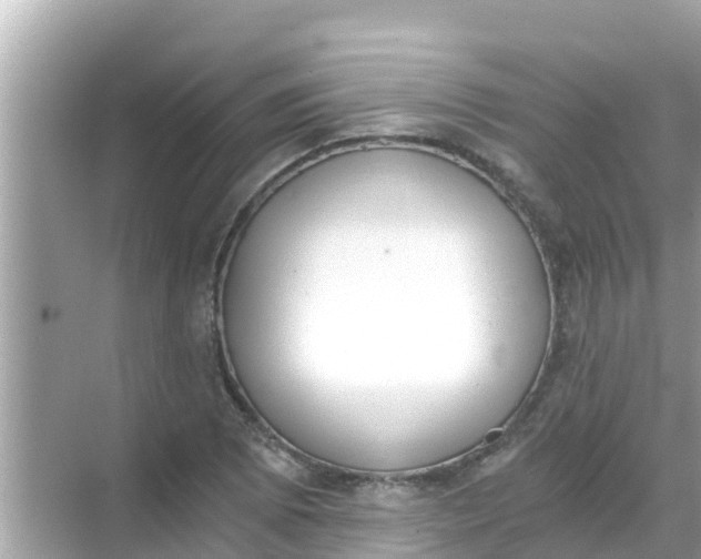 X0000068301073200605051927