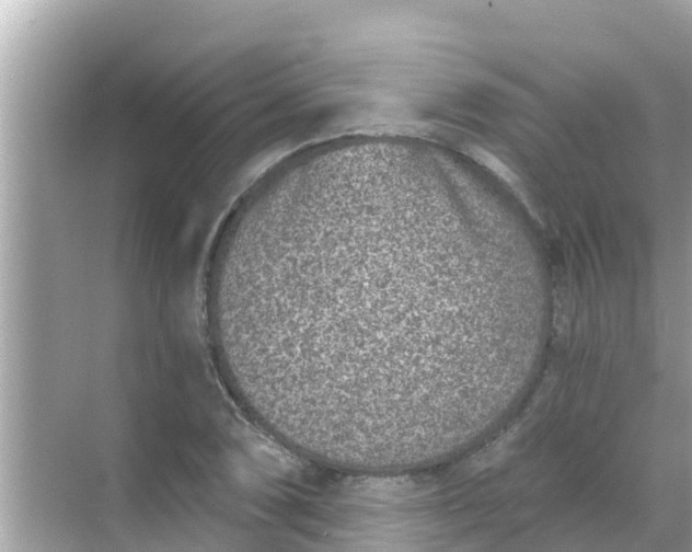 X0000068301074200605051927