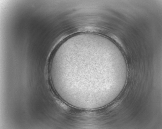 X0000068301075200605051927