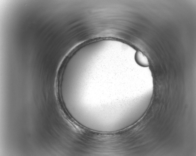 X0000068301076200605051927