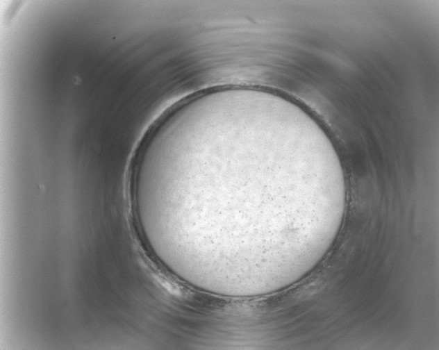 X0000068301078200605051927