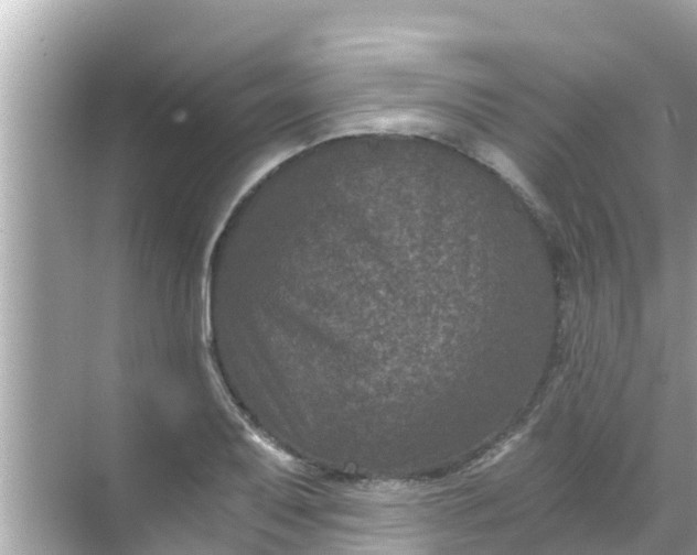 X0000068301079200605051927