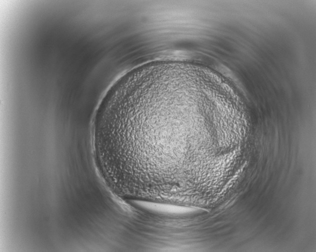 X0000068301083200605051927