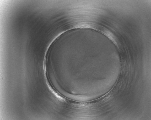 X0000068301084200605051927