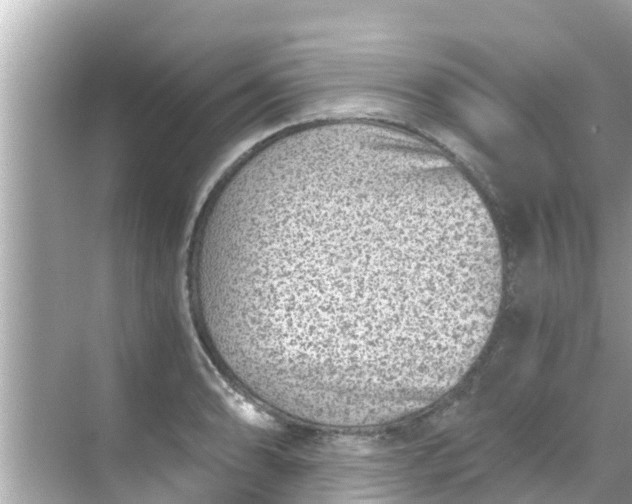 X0000068301086200605051927