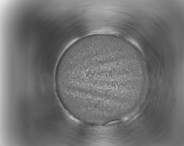 X0000068301087200605051927