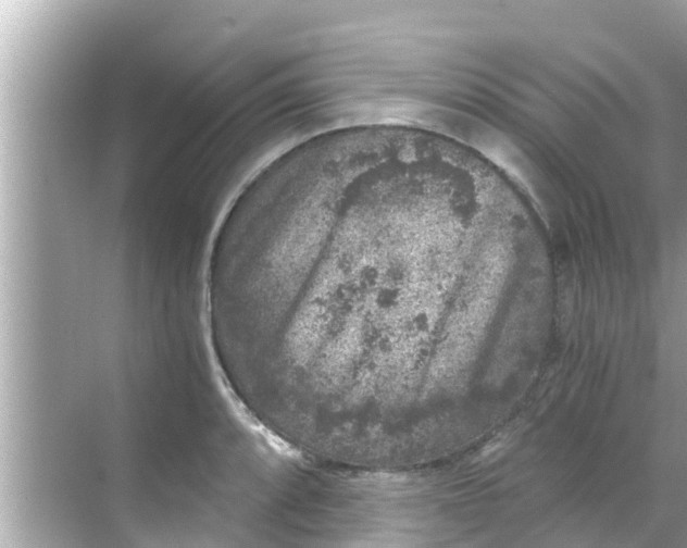 X0000068301088200605051927