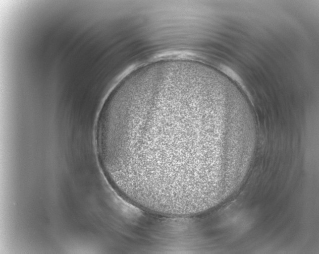 X0000068301090200605051927