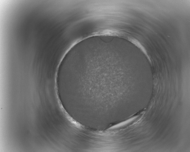 X0000068301091200605051927