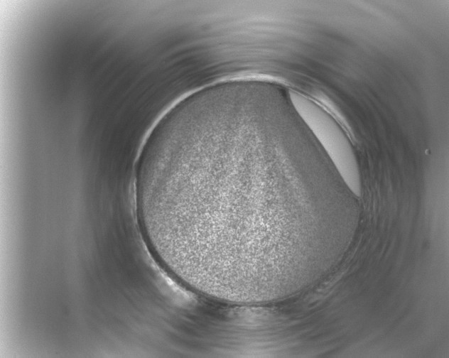 X0000068301092200605051927