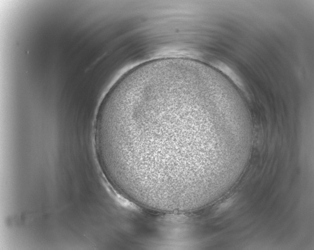 X0000068301094200605051927