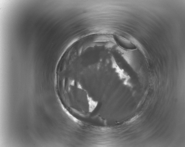 X0000068301095200605051927