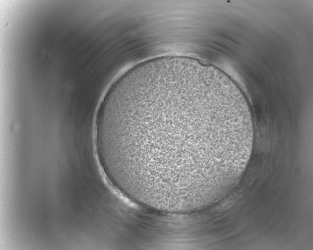 X0000068301096200605051927