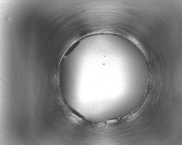 X0000068301097200605051927