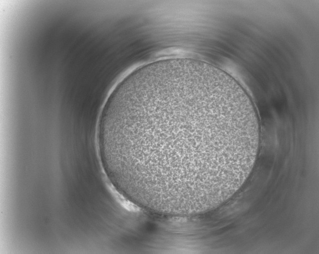 X0000068301098200605051927