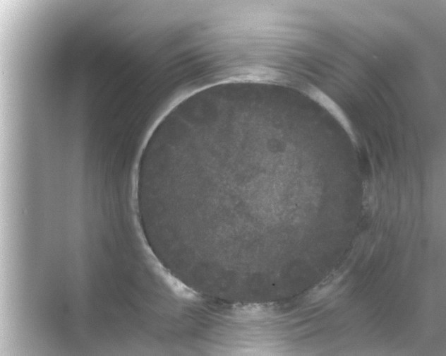 X0000068301099200605051927