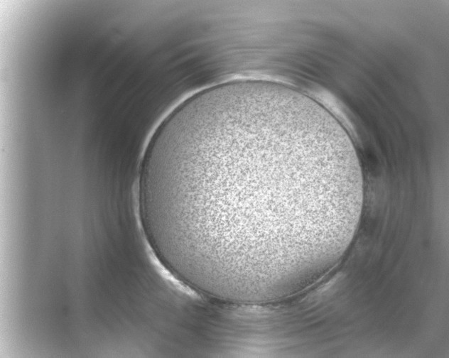 X0000068301100200605051927