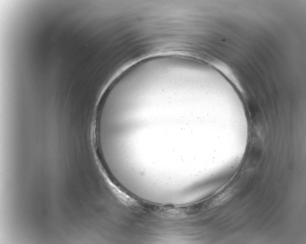 X0000068301101200605051927