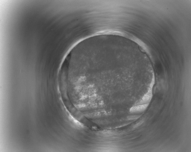 X0000068301102200605051927