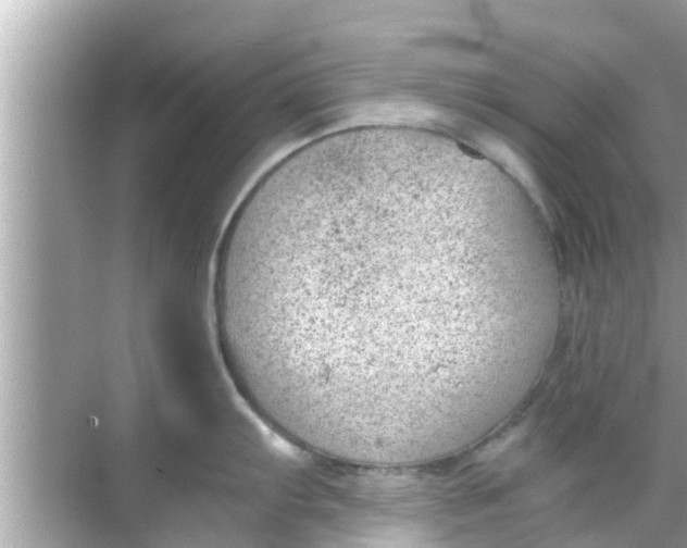 X0000068301103200605051926