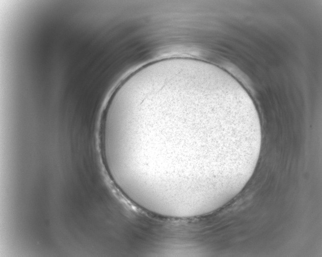 X0000068301104200605051926