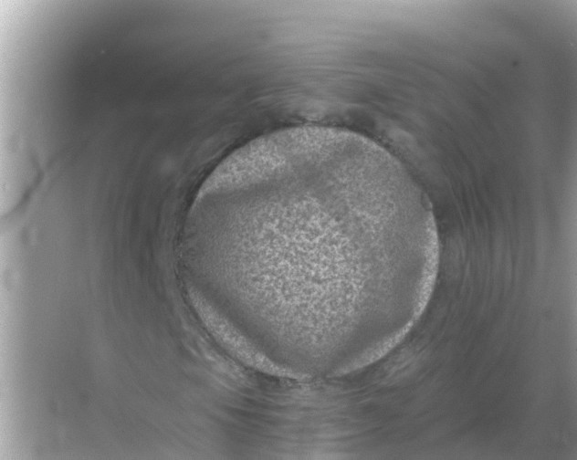 X0000068301105200605051926