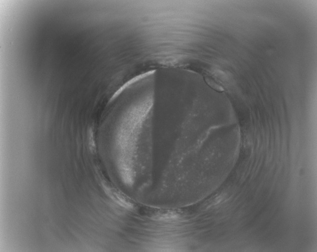 X0000068301106200605051926