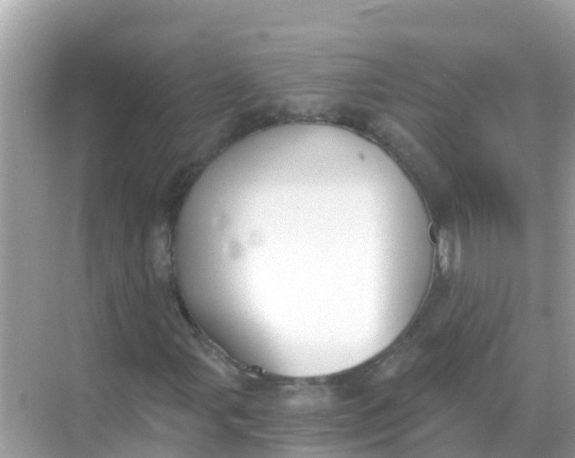 X0000068301107200605051926