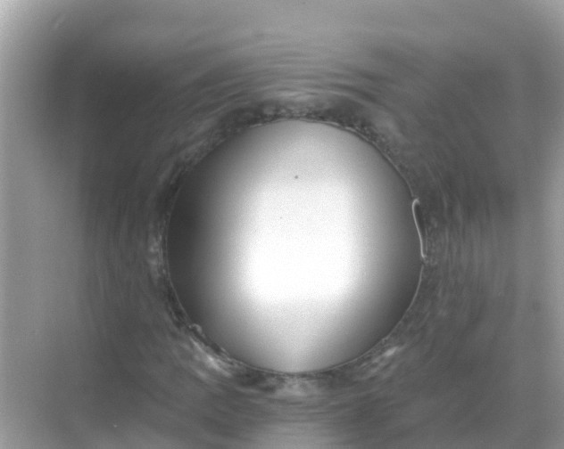 X0000068301109200605051926