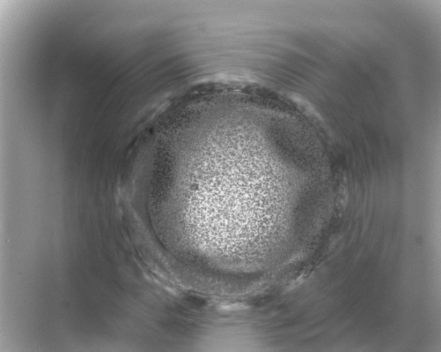 X0000068301110200605051926