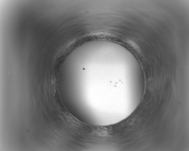 X0000068301111200605051926