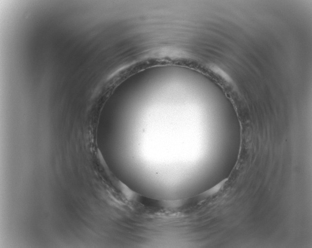 X0000068301112200605051926