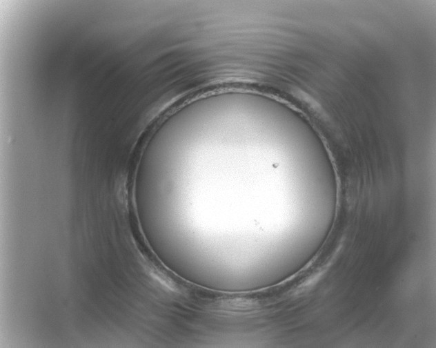 X0000068301113200605051926