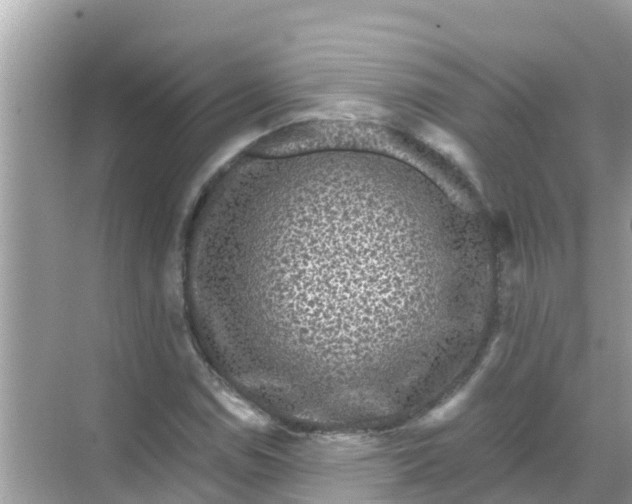 X0000068301114200605051926